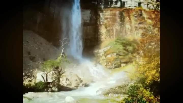 House At The Forest / Სახლი Ტყის Პირას Gordi Δωμάτιο φωτογραφία
