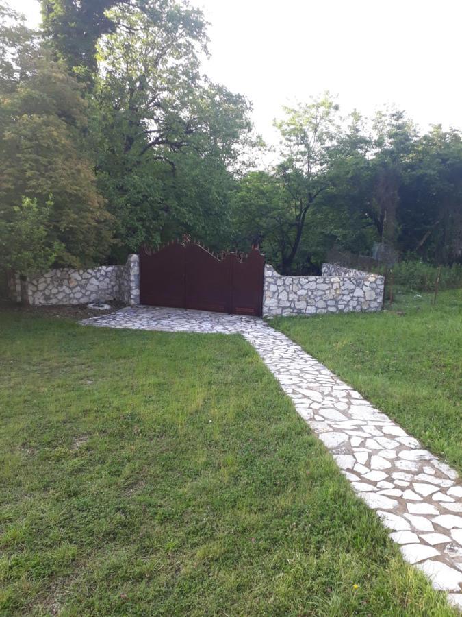 House At The Forest / Სახლი Ტყის Პირას Gordi Εξωτερικό φωτογραφία